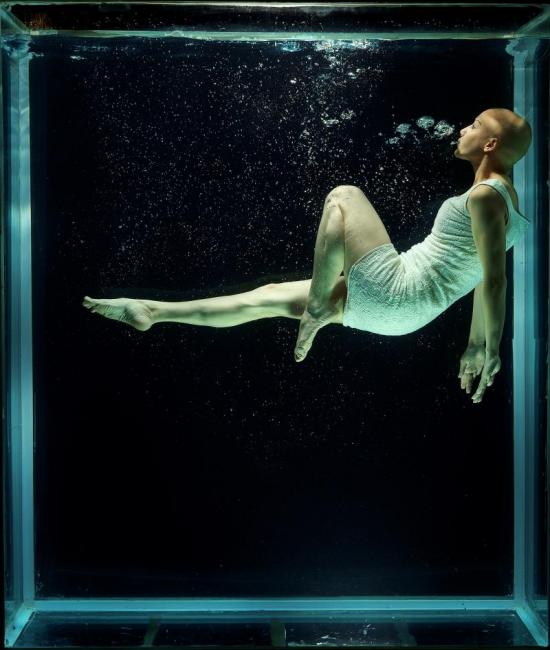 Aquarium