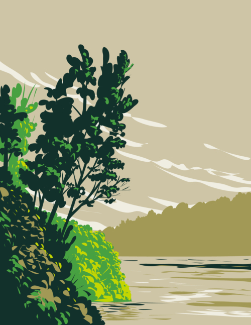 lake-poinsett-state-park-on-western-bank-of-lake-poinsett-crowley-s-ridge-poinsett-county-arkansas-wpa-poster-art-vector_0.jpg