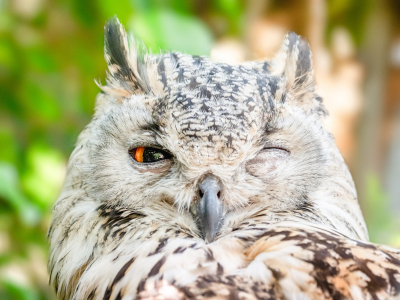 Photo by Jean van der Meulen from Pexels