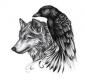 Drakira's picture