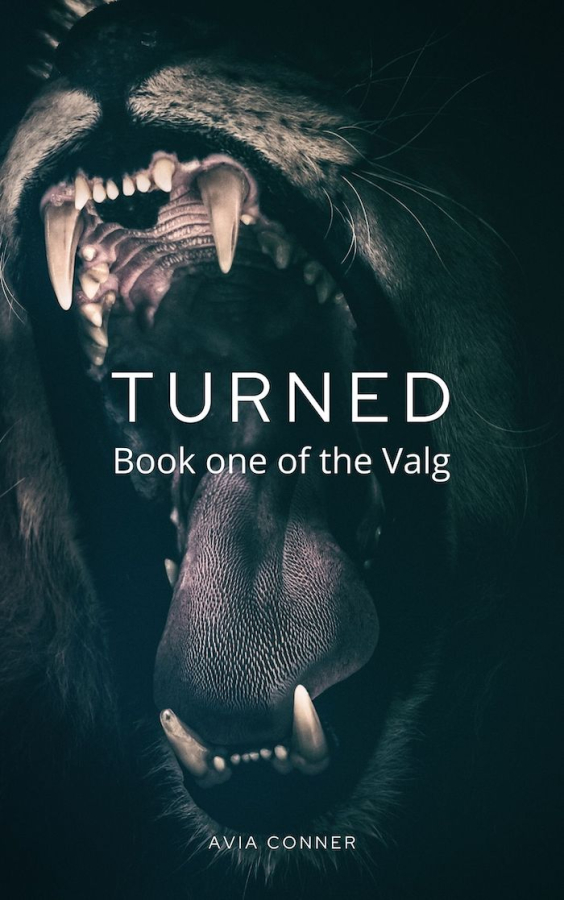 ValgBook1.jpg