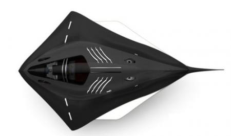 Stingray.jpg