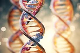 Strange DNA.jpg