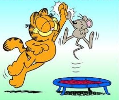 garfeild.jpg