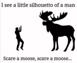 scare a moose