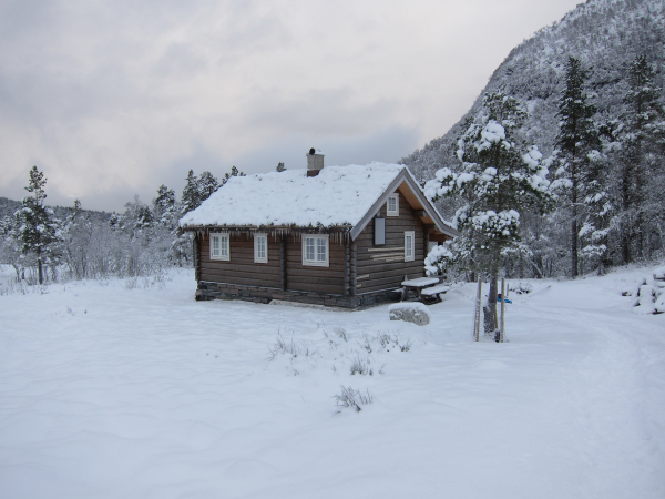 cabin.jpg