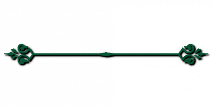 Y&Ddivider.png