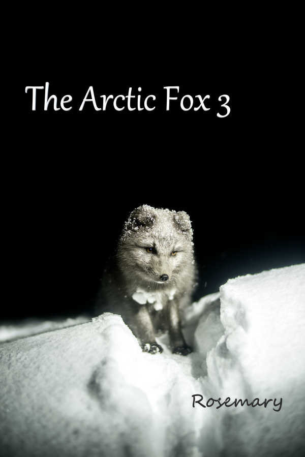 The Arctic Fox 3.jpg