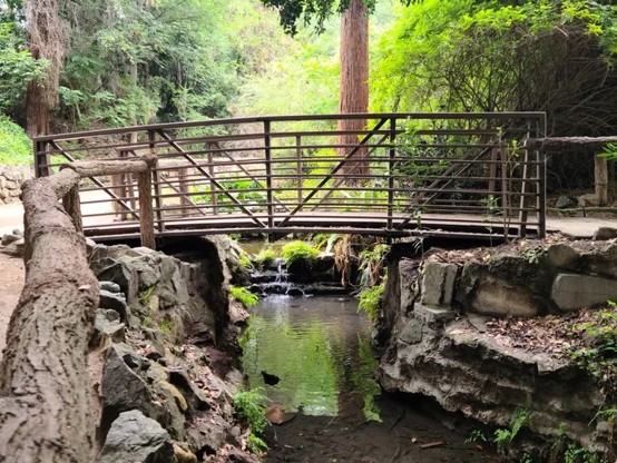 Ferndell Trail.jpg