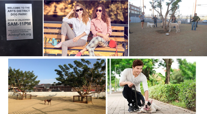 dog park collage75.jpg