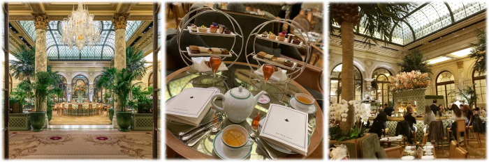 palm court plaza hotel.jpg