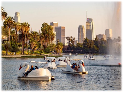swan boats.jpg