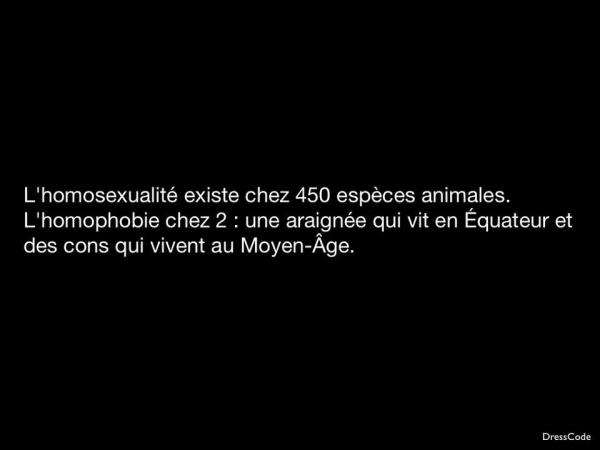 homosexuality and homophobia.jpg
