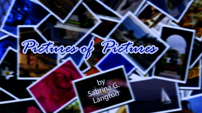 Pictures Of Pictures VS.png
