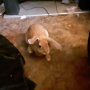 thumb_20191006_134022[2]_s.png