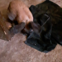 thumb_20191006_134149[1]_s.png