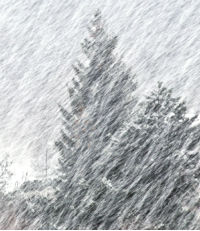 snowing-blizzard.jpg