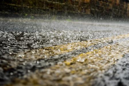 rain_205819.jpg