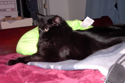 Linsey_on_Bed_and_pillow.jpg