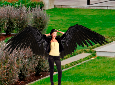 Raven.png