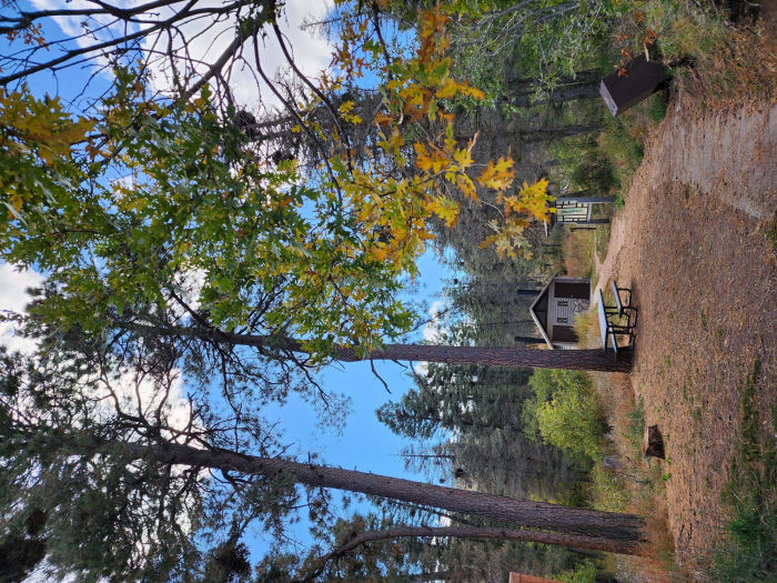 20251004_135958 Picnic Table.jpg