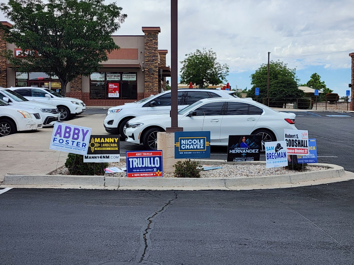20260602_110322 Primary Election Campaign Signs.jpg