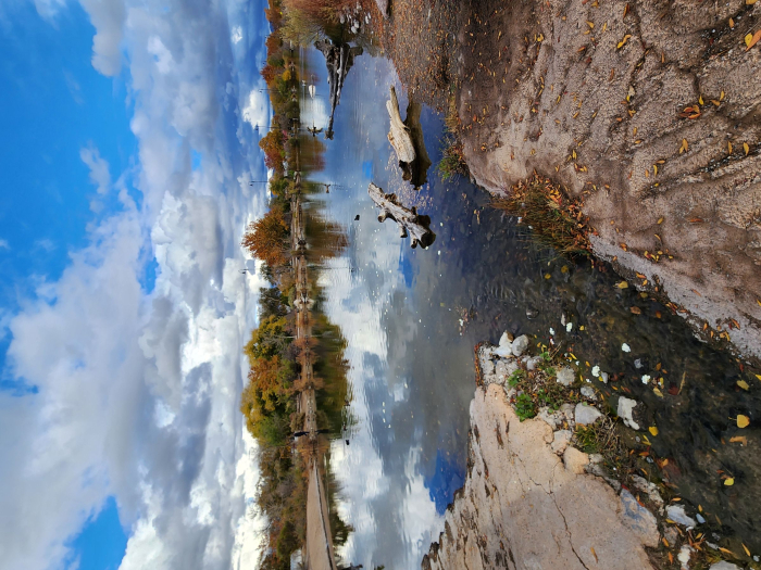 TDOR 2025 01 20251120_142856.jpg