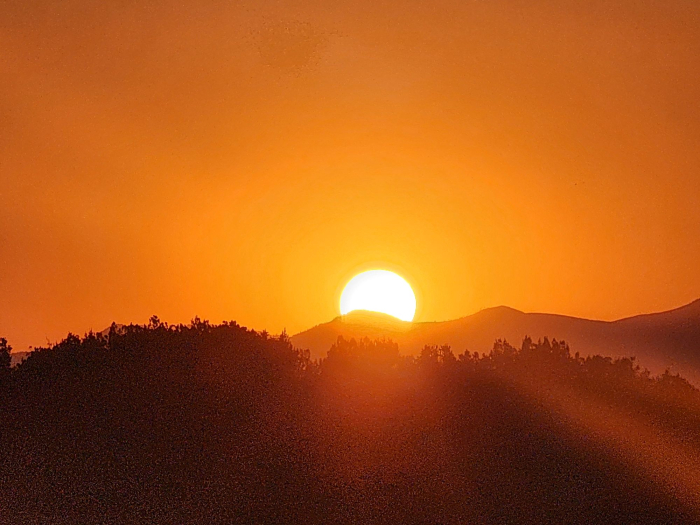 Opera House Sunset 20250711_201153.jpg