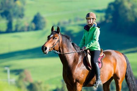 horese-riding-porlock.jpg