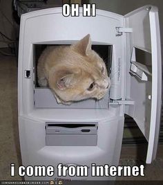 ICAMEFROMINTERNET.jpg