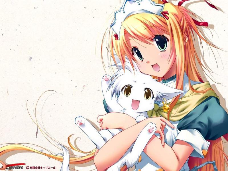 Anime_Wallpaper.jpg