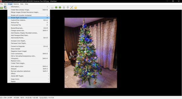 Christmas tree.jpg