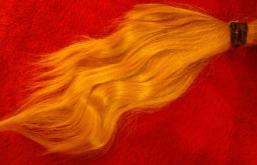 goldenlockonredcroppedresize75.jpg