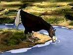Avatar-ostrich-horse.jpg