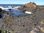 Ireland-Gaints Causeway.jpg
