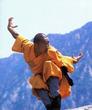 Shaolin-Eagle-Fist1.jpg