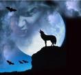 bats-werewolves.jpg