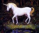 unicorn-02.jpg