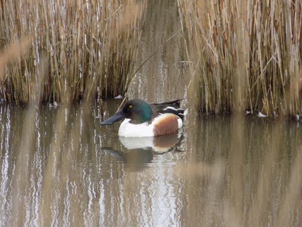 DSCN0139.JPG