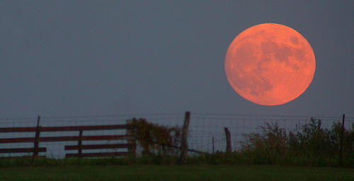 Harvest_moon.jpg