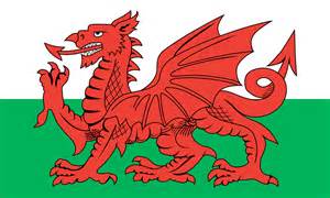 ddraig goch.jpg
