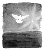 dove2.jpg