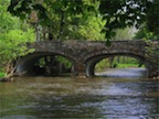 bridge.jpg