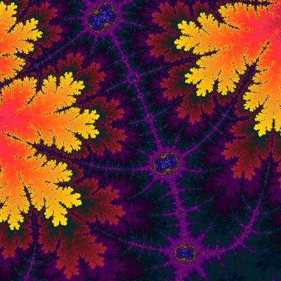 Autumn__detail_.jpg