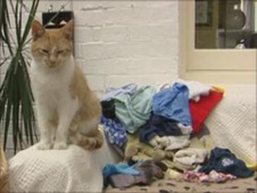 Knicker-nicker.jpg