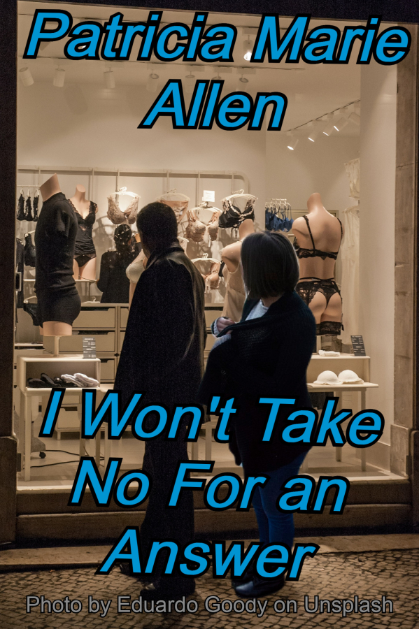 I wont take no for an answer.jpg