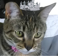 Princess Bobbi.png