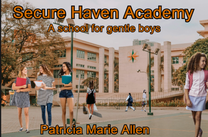 Secure Haven cover 2.png
