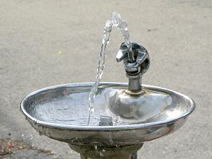 300px-Bubbler.jpg