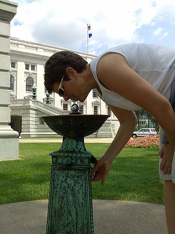 360px-Bubbler_MadisonWI_1.jpg